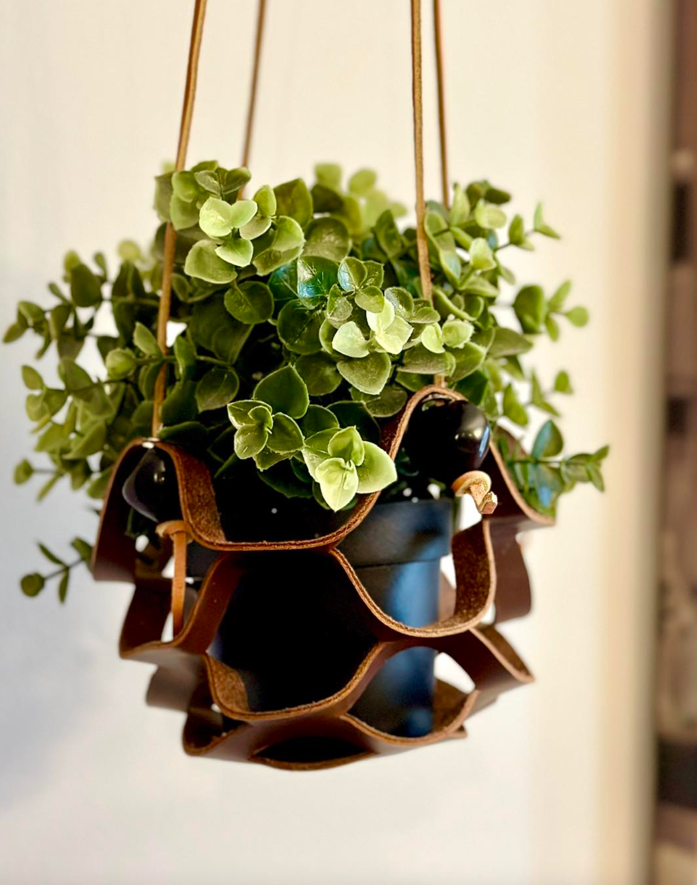 "The Honeycomb" Plant Holder