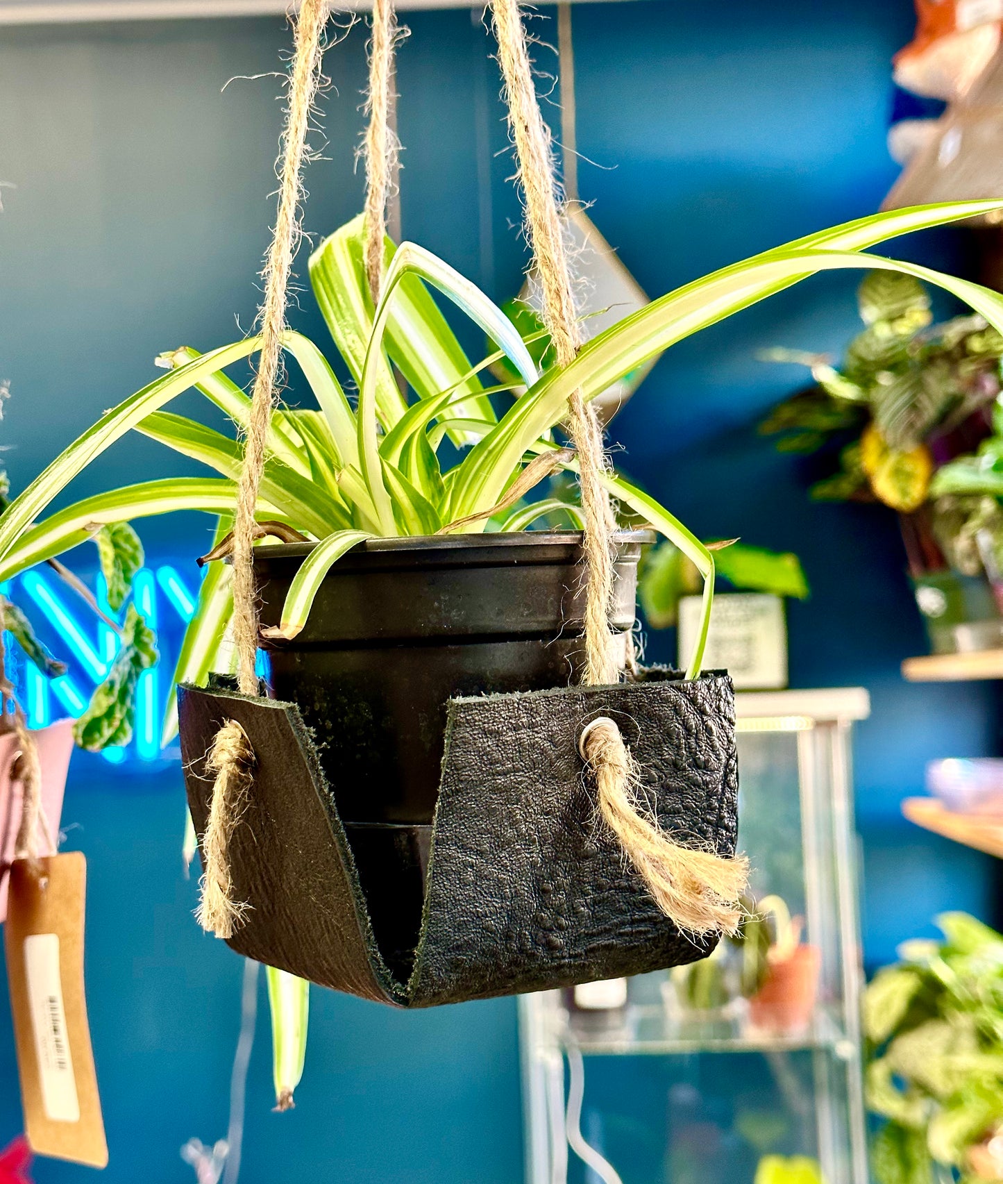 "The Four Way" Hanging Plant Holder