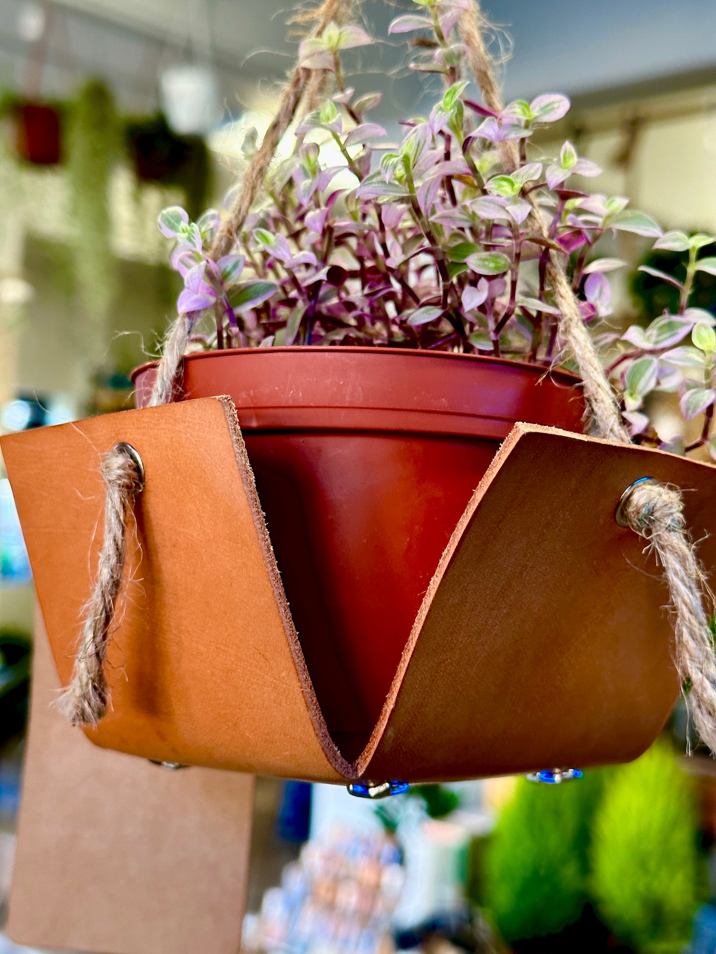 "The Four Way" Hanging Plant Holder