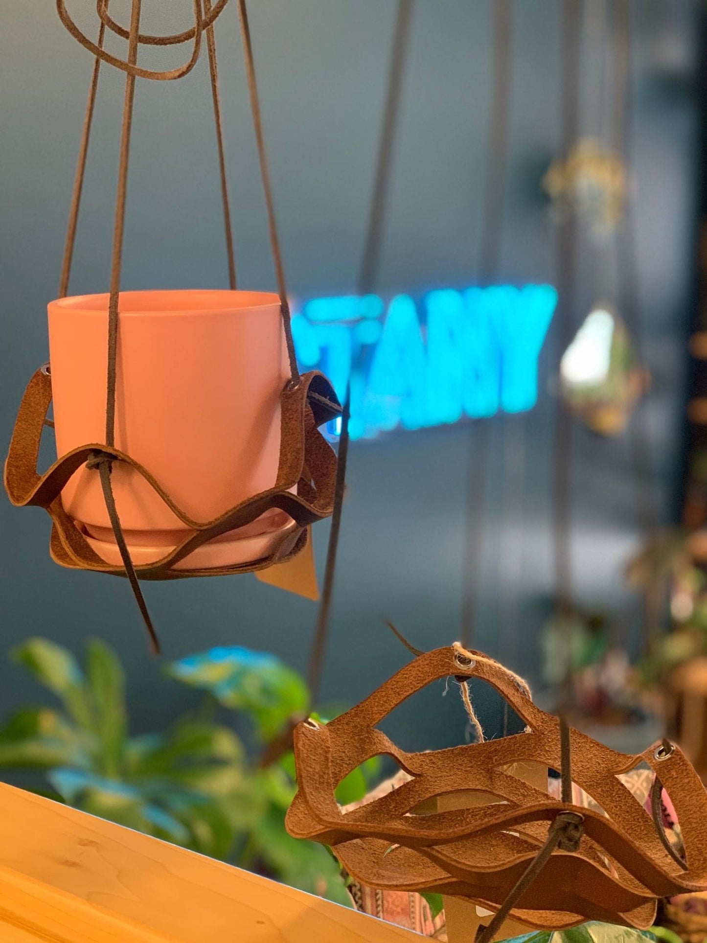 "The Honeycomb" Plant Holder
