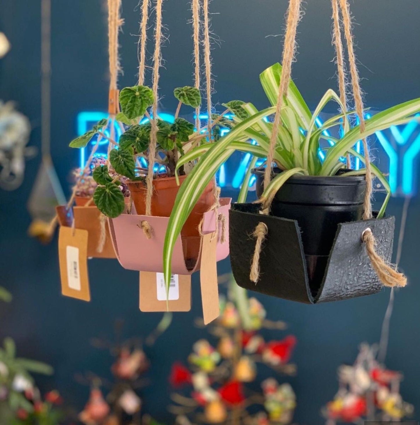 "The Four Way" Hanging Plant Holder